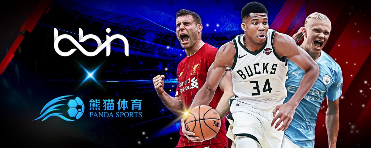 参与国内外