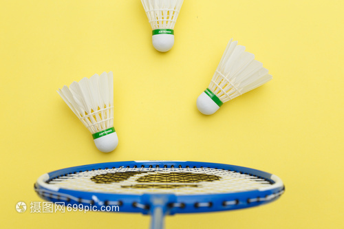 以支撑全新 以支撑全新